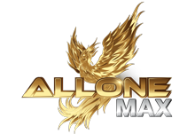 Allonemax ระบบประเมินผลตอบแทนแต่ละเกม